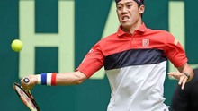 Halle Open: Nishikori vào Tứ kết, thách thứ Federer