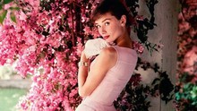 Triển lãm ảnh Audrey Hepburn: Góc khuất của huyền thoại Hollywood