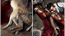 Những bức ảnh 'đẫm máu' về lễ hội thịt chó ở Trung Quốc