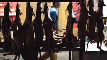 Xô xát trước lễ hội thịt chó lớn nhất Trung Quốc
