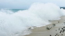 Tin bão khẩn cấp: Gió mạnh, sóng lớn trên các vùng biển phía Nam