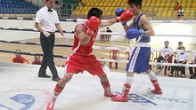 Hà Nội vô địch giải thiếu niên trẻ boxing toàn quốc 2015