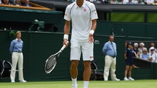 Wimbledon 2015: Chim sẻ xanh bay xuống sân… cổ vũ Djokovic?