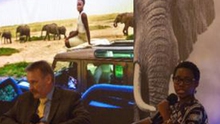 Ngôi sao phim ‘12 năm nô lệ’ Lupita Nyong'o tham gia cuộc chiến cứu đàn voi châu Phi