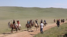Mông Cổ du ký: Hoa trên thảo nguyên