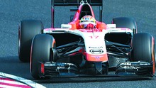 FIA treo số xe 17 của Jules Bianchi