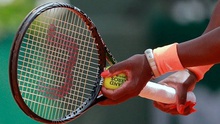 Siêu thị tennis: Sức mạnh từ những sợi ruột bò