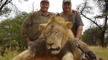 Lộ diện kẻ chặt đầu, lột da 'vua sư tử' Zimbabwe