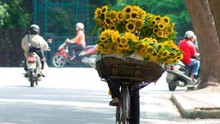 Hà Nội: Ngày nắng, đêm không mưa
