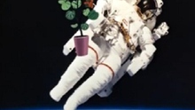 Các nhà du hành lần đầu tiên nếm thử rau trồng trên trạm vũ trụ ISS