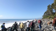10 ngày tìm kiếm MH370 trên đảo Reunion thành công cốc
