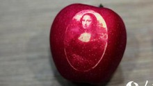 Ngắm những tuyệt tác nghệ thuật lớn lên trong những trái táo