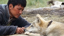Trung Quốc không chọn “Totem Sói” đua giải Oscar