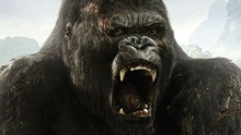 Phim 'King Kong' mới sẽ được quay ở Australia
