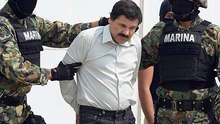 Mexico thu 11 chiếc máy bay trong chiến dịch lùng bắt "bố già" El Chapo