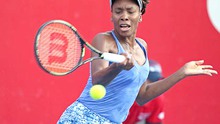 WTA Elite Trophy: Venus, Pliskova vào bán kết