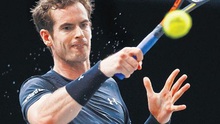 Andy Murray bận rộn với Davis Cup và ATP World Tour Finals