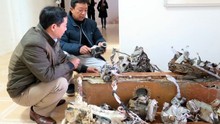 Bảo tàng Tuyên Quang mua lại mảnh vỡ máy bay người dân vớt được trên sông Lô