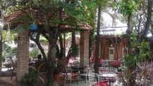 Uống cafe giữa không gian xanh & sống 'chậm' giữa Sài Gòn ồn ã