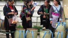 Video du lịch: Đi chợ của người H'mong, người Dao ở Sapa