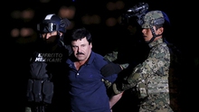 Trùm ma túy 'El Chapo' sắp khuynh đảo 300 rạp chiếu Mexico
