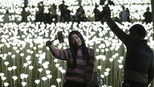 Valetine ở Hong Kong sáng rực với 25.000 bông hồng bằng đèn LED