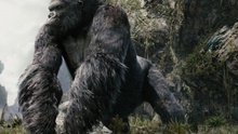 'Kong: Skull Island' lấy bối cảnh 'thời Việt Nam' thập niên 70?