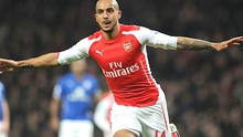 Arsenal: Tốc độ của Walcott luôn khiến Barca lo ngại