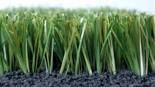 Chưa có đề tài nghiên cứu về tác động của sân cỏ nhân tạo ở Việt Nam