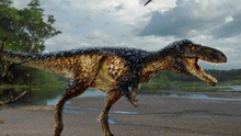 Giải mã bí ẩn sự tiến hóa của khủng long bạo chúa