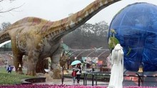Khám phá 'thế giới khủng long' hiện diện giữa lòng Hàn Quốc