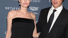 Brad Pitt lừa dối Angelina Jolie, tán tỉnh cô nàng gợi cảm Marion Cotillard?