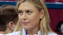 Luật sư của Sharapova: ‘WADA nợ cô ấy một lời xin lỗi’