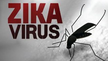 Mỹ thử nghiệm thành công vaccine phòng chống virus Zika trên động vật