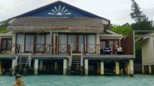 Câu chuyện du lịch: Maldives du ký - 'Độp mặt' cá mập (kỳ 1)