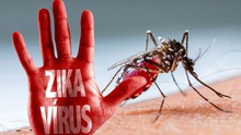 Phú Yên phát hiện bệnh nhân dương tính với virus Zika