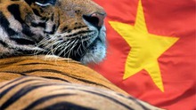 Việt Nam - “Con hổ” châu Á đang trỗi dậy