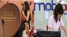 Thanh tra Chính phủ công bố quyết định thanh tra toàn diện Dự án Mobifone mua 95% cổ phần của AVG