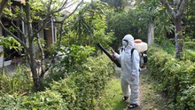 Thành phố Hồ Chí Minh chống dịch bệnh do vi rút Zika