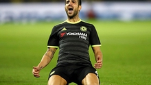 Conte không thể phớt lờ Fabregas nữa