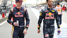 Ricciardo càng hay, Red Bull càng đau đầu