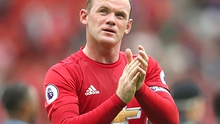 Rooney chững lại ở tuổi 30 vì cái cổ... bò tót?