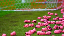 CĐV Anh ném... 3.000 con lợn đồ chơi xuống sân để phản đối ông chủ CLB