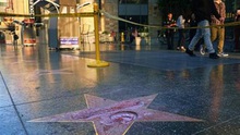 Bắt người phá ngôi sao của Donald Trump trên Đại lộ Danh tiếng Hollywood
