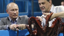 Báo lá cải Anh kể về 'những con bạch tuộc sát thủ' của Putin