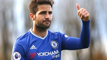 Conte cần Fabregas để lên đỉnh