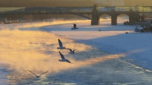 Hình ảnh thủ đô Moskva 'đông cứng' trong cái lạnh kỷ lục hơn 100 năm