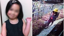 Hé lộ về hung thủ sát hại bé gái người Việt ở Nhật Bản