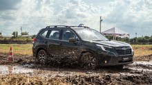 Subaru Forester - ‘Sầu riêng’ trong chợ xe Việt Nam
