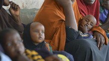 FAO cảnh báo về tình hình nhân đạo thảm khốc ở Somalia